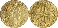 Louis XIV Demi Louis Demi Louis d'or à la Mèche Courte - Louis XIV -