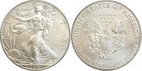 Etats - Unis Argent 1 Dollar 1 Dollar Silver Eagle - Etats-Unis Argent -