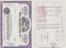 USA Stock Share USA OLD SHARE STOCK BOND Kings Department Stores 1969 -