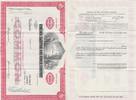 USA Stock Share USA OLD SHARE STOCK BOND Virginia Electric and Power Company 1963 -