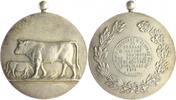 Belgien Silbermedaille Albert I. 1909-1934 -