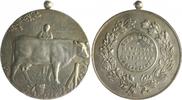 Belgien Bronzemedaille, versilbert Albert I. 1909-1934 -