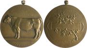 Belgien Bronzemedaille Albert I. 1909-1934 -