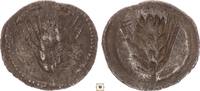 Greek obol Lucania, Metapontion, Barley Bar / Incuse -