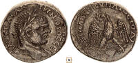 Roman Provincial Tetradrachm Caracalla, Phoenica, Berytus -