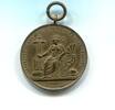 Medicina in nummis, Br.Medaille auf den 90 Mediziner Konvent in Hamburg, -