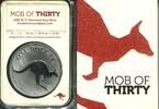 Australien, 1 Dollar 2023 Mob of Thirty-30 Jahre Kangaroo Serie, Frosted... 110,00 EUR  Excl. 9,50 EUR Verzending