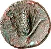 ITALIEN AE METAPONTION (Metaponto). -