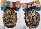 Koninkrijk der Nederlanden 1874 Draagteken 25-Jarig Regeringsjubileum Koning Willem III MintState, stof iets verschoten