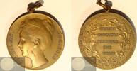 Koninkrijk der Nederlanden Historiepenning Koninklijke Prijspenning 8e Internationale Concours Hippique 1910 door Begeer -