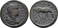 ROMAN PROVINCES Æ24 Troas - Severus Alexander -