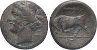 Sicily. 275-215 BC Syracuse. Hieron II s 60,00 EUR  Excl. 8,00 EUR Verzending