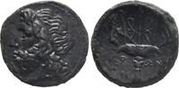 Sicily. 275-215 BC. Syracuse. Hieron ss+ 145,00 EUR  Excl. 8,00 EUR Verzending