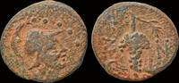Soloi AE15 Cilicia Soloi AE15 grape bunch -