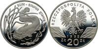 POLAND / POLEN 20 zlotych 1995 Sum, Silurus glanis PP 400,00 EUR  Excl. 10,00 EUR Verzending