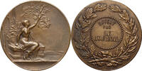 FRANCE Medal Pillet/Bertrand -