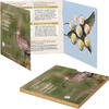 Ireland  BU Euro 2024 box set - The Curlew