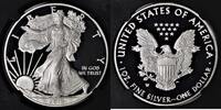 USA Proof Silver American Eagle -