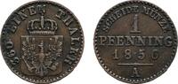 Brandenburg-Preußen Cu Pfennig Friedrich Wilhelm IV. 1840-1861 -