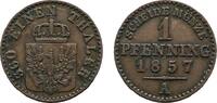 Brandenburg-Preußen Cu Pfennig Friedrich Wilhelm IV. 1840-1861 -