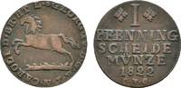 Braunschweig-Wolfenbüttel Cu Pfennig Karl 1815-1830 -