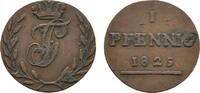 Schwarzburg-Rudolstadt Cu Pfennig Friedrich Günther 1807-1867 -