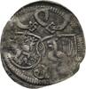 Henneberg, Grafschaft Pfennig (altfränkisch-sächsisch) Wilhelm V. 1495-1559 -