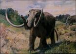 IVORY COAST , KM Unlisted , Gold plated Silver, 1000 Francs, 2010, Proof, Gold Plated Mammuthus Africanavus - mammoth with authe