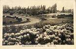 Deutschland Ansichtskarte Berlin 1944 Sommerblumen am Funkturm leicht be... 3,00 EUR  Excl. 14,99 EUR Verzending