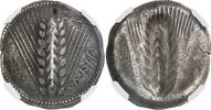 Grecques Nomos Lucanie - M&eacute;taponte NGC vz 1350,00 EUR  Excl. 18,00 EUR Verzending
