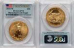 US Burnished Gold Eagle 1 oz FS Flag Gold Eagles -
