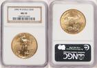US Burnished Gold Eagle 1 oz Brown Label Gold Eagles -