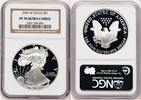 US Proof Silver Eagle 1 oz Brown Label Silver Eagles -