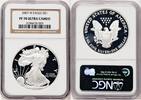US Proof Silver Eagle 1 oz Brown Label Silver Eagles -