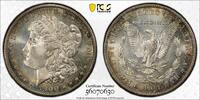 1 Dollar S$1 Secure 1900-S Morgan Dollar PCGS MS65 1166,55 EUR  Excl. 38,88 EUR Verzending