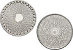 5 euro WNF 5 euro 2011 herdenkingsmunt verzilverd -