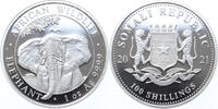   Somalia Olifant 2021 1 ounce silver  69,50 EUR  Excl. 3,90 EUR Verzending