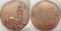 Freiberg,Reichsburg Bronzemedaille Winzige Randfehler.#12 -