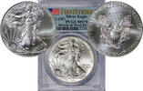SILVER-EAGLE-DOLLAR 2013-W USA 13125-3 PCGS-MS70