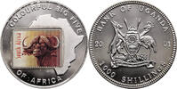 Uganda 1000 Shillings Cape Buffalo -