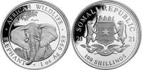 Somalia 100 Shilling 100 Shilling Somalia ELEFANT 2021 1 Unze fein -