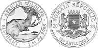 Somalia 100 Shilling 100 Shilling Somalia ELEFANT 2023 1 Unze fein -