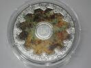 FRANKREICH 250 Euro 2025 250 Euro Silber 1/2 Kg coloriert 2025 Palais Ga... 2595,00 EUR  Excl. 90,00 EUR Verzending