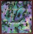 Republic of Palau 5 Dollars 2012 Sea Treasures - Haliotis Iris - Coin Number 1148 Proof with capsule, coa, carton & box