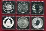 diverse Länder 5 Unzen Silber + 10 Yuan 30 g Silber 2021 Set aus sechs Anlagesilbermünzen (Investment-Stars) proof an BU in capsules, orig. packaging