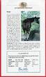 Tschad 1000 Francs Silbermünze 1999 Okapi - Gefährdete Tierwelt - Endangered Wildlife proof in capsule with certificate