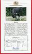 Nordkorea 5 Won Silbermünze 2002 Kouprey - Gefährdete Tierwelt - Endangered Wildlife proof in capsule with certificate