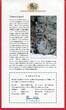 Afghanistan 500 Afghanis Silbermünze 2000 Schneeleopard - Gefährdete Tierwelt - Endangered Wildlife proof in capsule with certificate