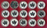 Kanada 15 x 5 Dollars Silbermünzen 2003-2005 Maple Leaf - Sammlung aus 15 Münzen (15 * 1 oz) BU in capsules & box