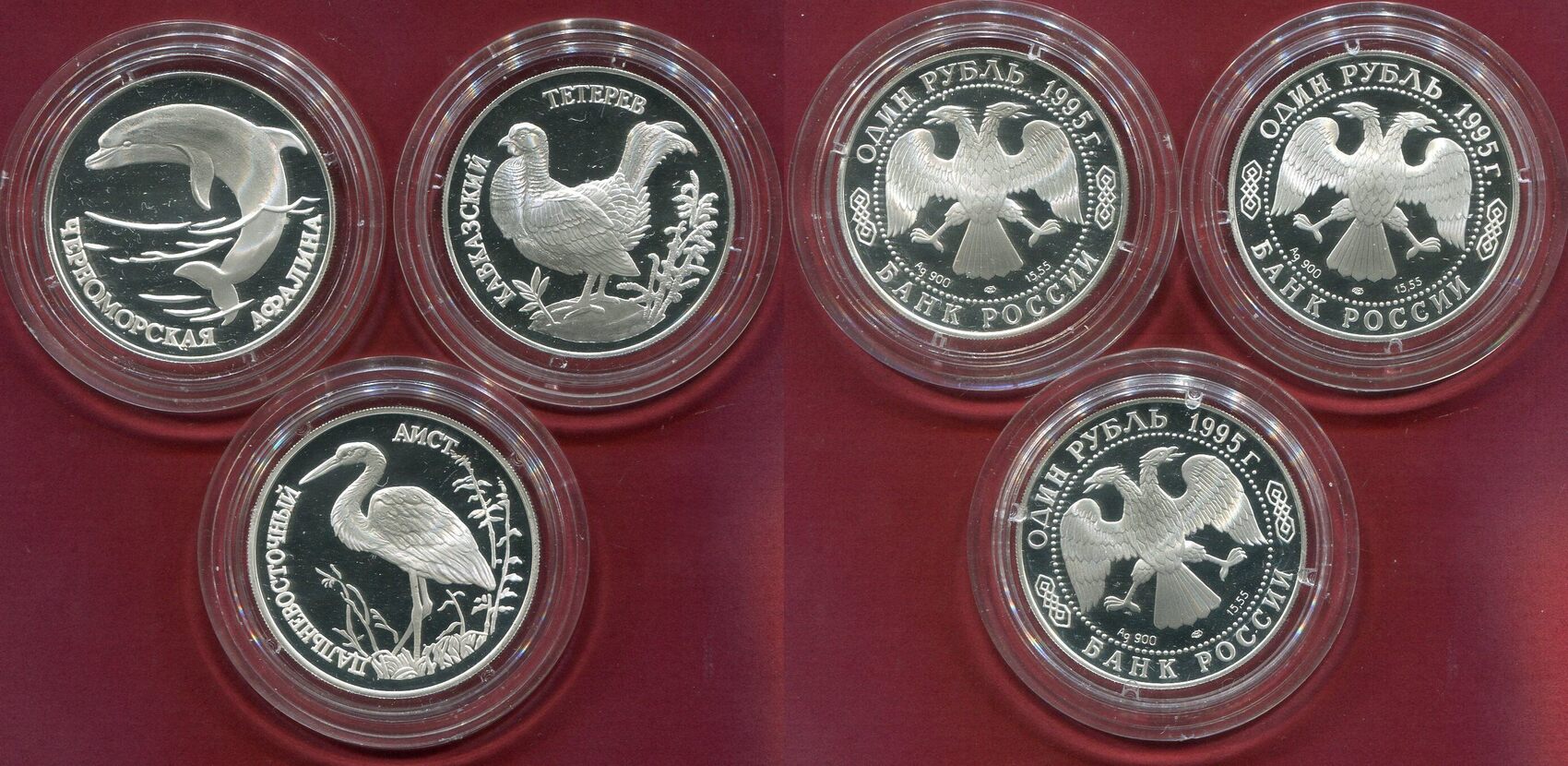 russland-russia-1-rubel-roubles-1995-rotes-buch-wildlife-kaspisches